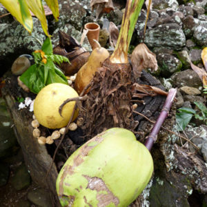 Ulupo Heiau fruit offerings