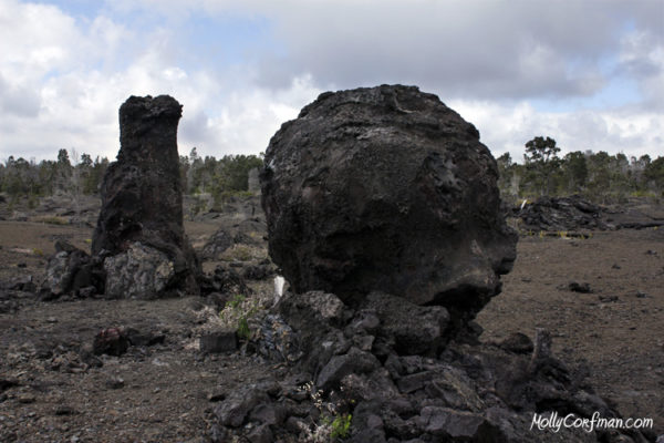 Lava Molds, Kilauea Volcano