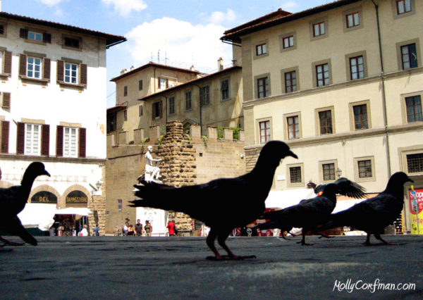 Birds in the Plaza