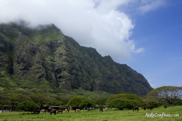 Horse Ranch, Koolau Mountain Range