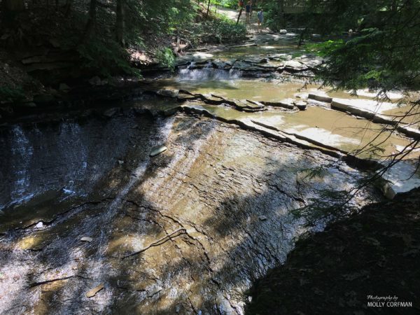 Cuyahoga Valley 07