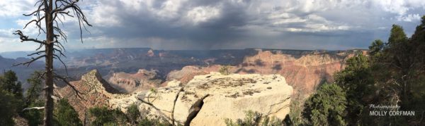 Grand Canyon 09