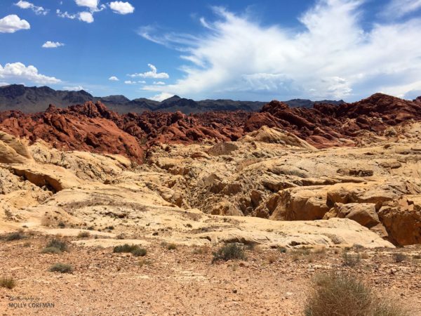 Valley of Fire 03