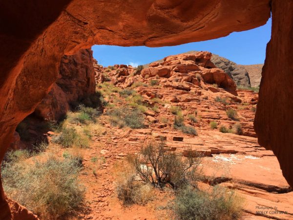 Valley of Fire 14