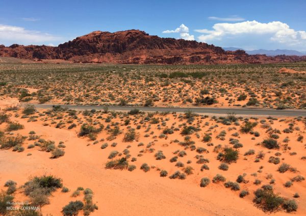 Valley of Fire 26