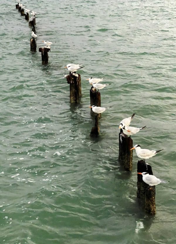 Key West 012