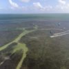 Florida Keys 007