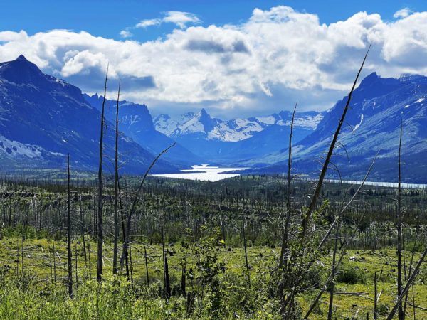 Glacier National Park 001