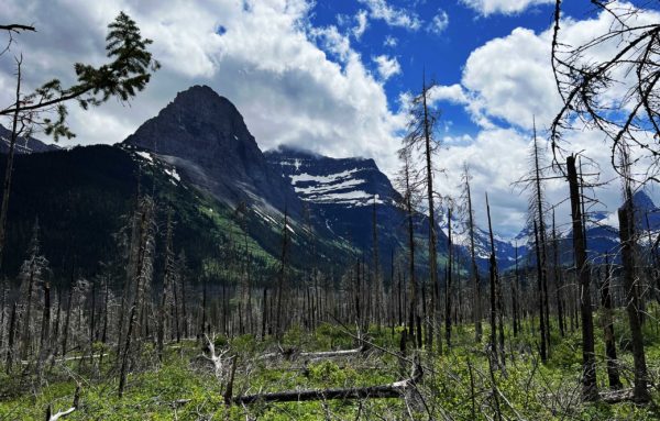 Glacier National Park 011