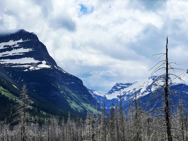 Glacier National Park 013
