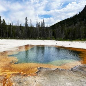 Yellowstone National Park