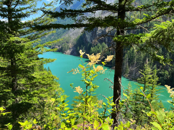 North Cascades 003