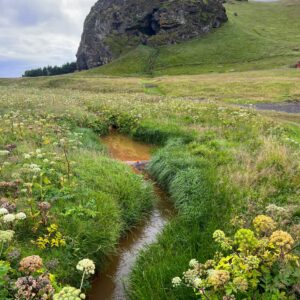 Iceland 015