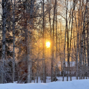 Fairbanks 008